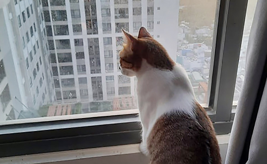 Cần ý thức văn minh và trách nhiệm với cộng đồng